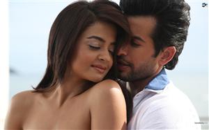 Hate Story 2